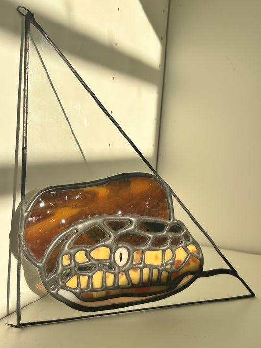 Boa puertorrique帽a