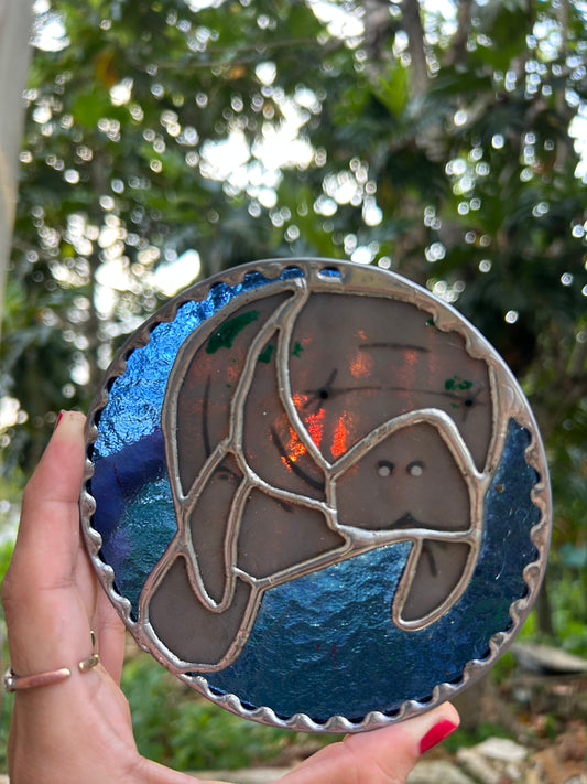 Manatí