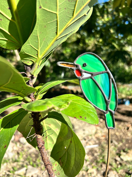 San Pedrito