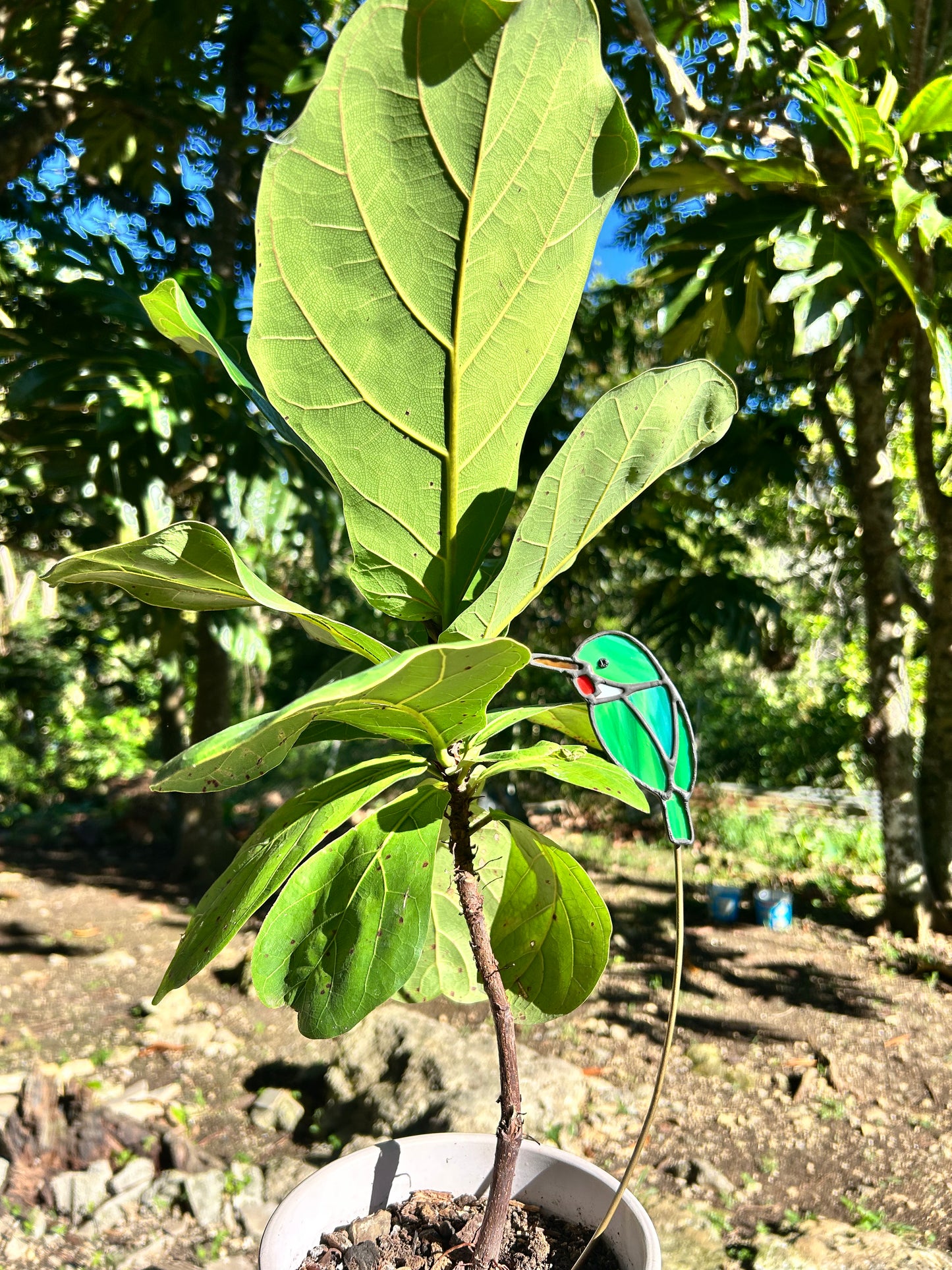 San Pedrito
